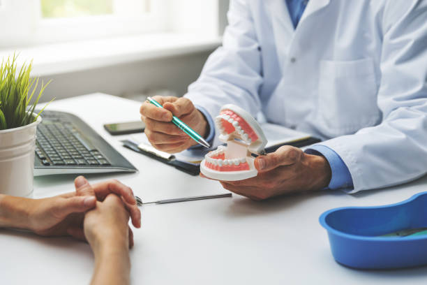 Professional Holistic Dental Care Services in Sudden Valley, WA